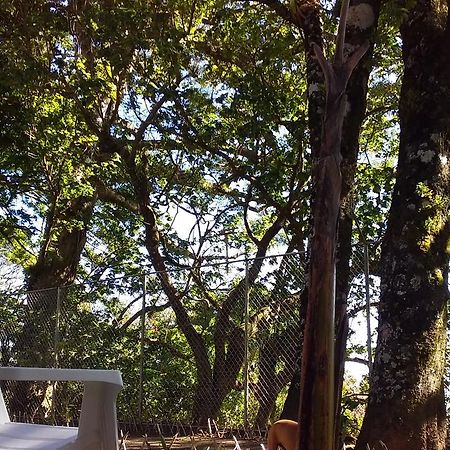 Nature House Monteverde Exterior foto